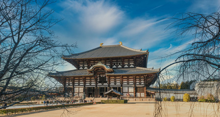 The tallest pagoda temple of Nara has been staying science long time. It image was captured for...