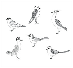 Six birds set isolated on a white background hand drawn in black ink.