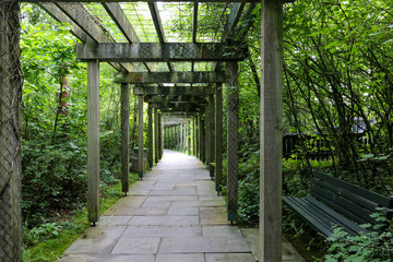 A tall brown wooden enclosed walkway structure protecting a footpath through a forest setting from the elements and bad weather.