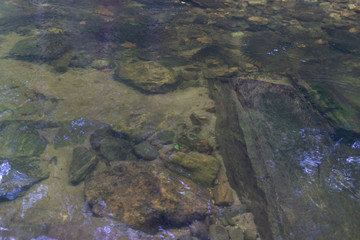 The green bottom of the reservoir shines through the water