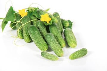 Group of fresh green pickling cucumbers on white background