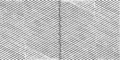 Fototapeta na wymiar Slim lines texture. Parallel and intersecting lines abstract pattern. Abstract textured effect. Black isolated on white background.Vector illustration. EPS10.