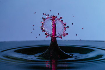 A drop falling into the water and creating a splash. Blue water. Splashing water.