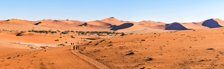 Fototapeta na wymiar Sand Dune in the Namibian Desert near Sossusvlei in Namib-Naukluft National Park, Namibia.