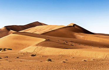 Obraz na płótnie Canvas Sand Dune in the Namibian Desert near Sossusvlei in Namib-Naukluft National Park, Namibia.