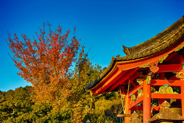 Fototapeta na wymiar Japanese Religiuos Heritage. Wings of Kiyomizu-dera Temple At Daytime. Traditional Red Maples in Foregound.
