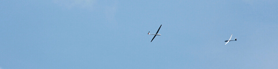 Planeurs en vol