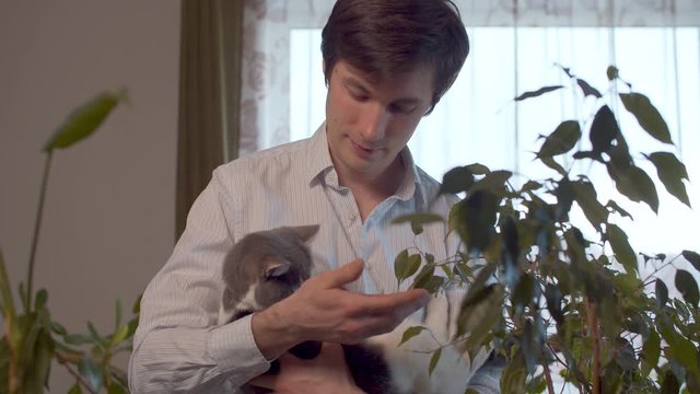 Portrait of a young handsome man with gray cat in his hands, in bright room decorated with houseplants. He stroking a cat and play with it.