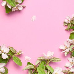 Spring nature background. Beautiful blooming spring branches on pink background flat lay top view copy space. Springtime concept, flowers composition, bloom delicate white flowers with green leaves