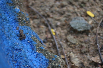 miniature