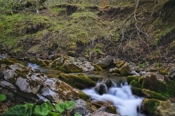 Naklejka na ściany i meble HDR landscape photography of river in wild