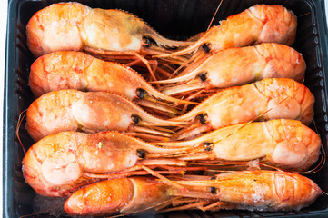king shrimps frozen in the box