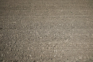 Plowed land. Homogeneous background. 