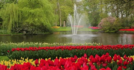 Fountain in the park with blooming tulips in early spring, Netherlands.