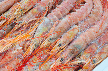 shrimps frozen in the box