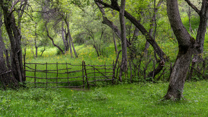 Walnut Forest Fence Kyrgyzstan