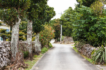 日本最南端、沖縄県波照間島の風景