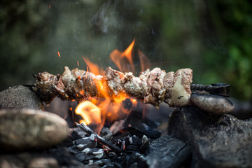 Beef kebab cooking on skewer with flame sparks barbecue on bonfire in forest at travel