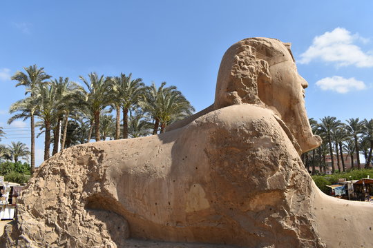 Sphinx