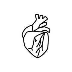 Human heart sign. Simple line vector icon.