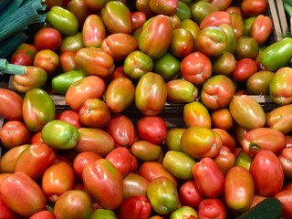 red and green tomatoes