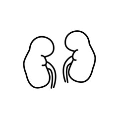 Human kidneys intestine sign. Simple line vector icon.