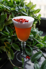 alcoholic cocktail on the background of plants