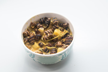 malaysian traditional cooking recipe. Malay traditional dish Sea Snails in coconut cream or ' Siput Sedut Masak Lemak '
