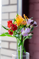 Bouquet of multi-colored alstroemeries in a vase on a window №6