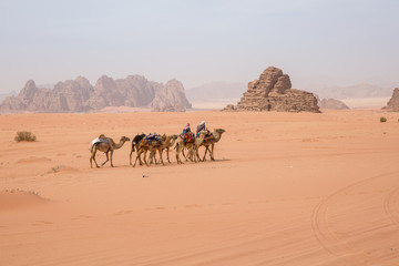 A caravan of camels with drovers leave for the desert. In the background mountains in a haze.