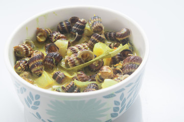 malaysian traditional cooking recipe. Malay traditional dish Sea Snails in coconut cream or ' Siput Sedut Masak Lemak '
