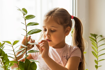 little girl caring for house plants at home