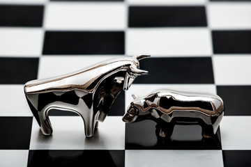 bull and Bear on the chessboard