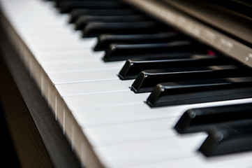 Piano keys taken close up