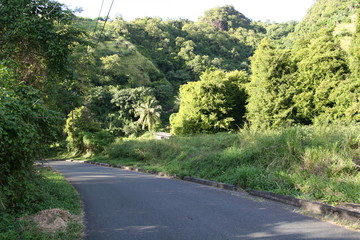road in the mountains