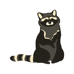 A very cute beautiful raccoon is sitting in the forest and waiting for a duzi