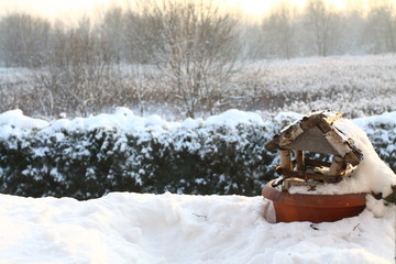 Naklejka premium winter landscape bird feeder