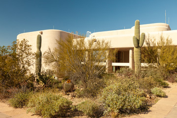 Saguaro National Park Visitor Center and grounds.  These Saguaro Cacti can live up to 200 years old...