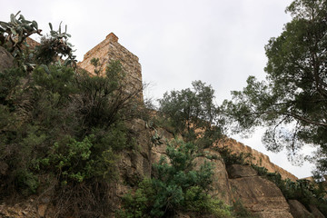 Fototapeta na wymiar View through the trees to Sagunto old castle ruins
