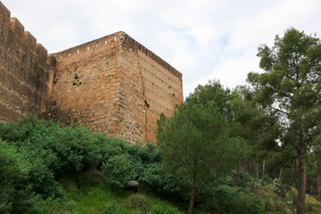 Fototapeta na wymiar old medieval castle Sagunto tower in green forest