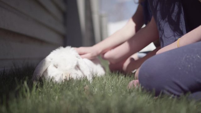 Children petting pet mini lop bunny rabbit in backyard