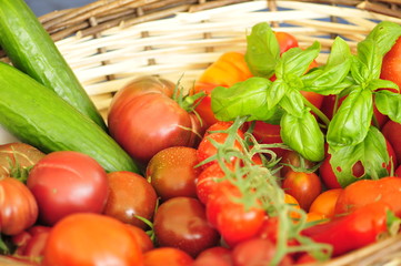 Basket of juicy tomatoes Basil and cucumber