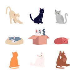 Cute cats flat vector illustrations set