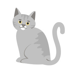 Adorable gray cat semi flat RGB color vector illustration