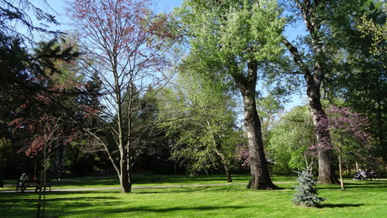 Obraz premium Miskolctapolca is a famous resort in caves