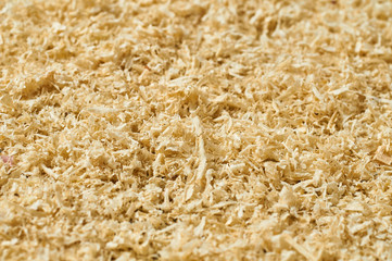 Scattered wooden sawdust in carpentry workshop