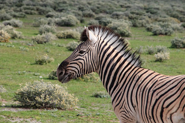 Namibia