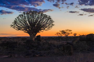 namibia