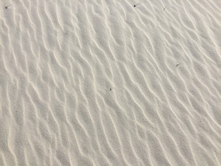 Fototapeta na wymiar sand ripples on the beach