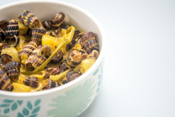 malaysian traditional cooking recipe. Malay traditional dish Sea Snails in coconut cream or ' Siput Sedut Masak Lemak '
